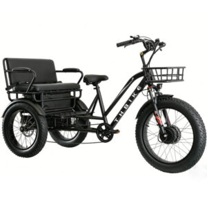 Etrike passenger cycling ebike manned tricycle electric cargo three-wheel tricycle