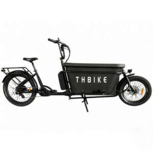 Electric Bike 2 Wheels Cargo Adult Cargo EPP Box Design Cargo Bike  E-cargo bicycle with kids seats ebike