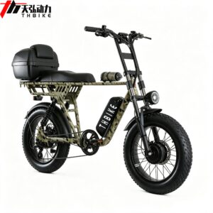 Dual batteries design e bike fat tires 20"  with 2 motors  750W *2 big power fashion high speed motorcycle good quality electric bike