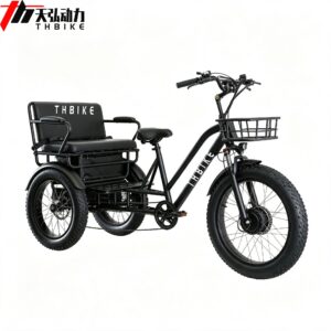 Front Hub Brushless 750W Power 3 wheel  tricycle E trike family cycling cargo bike with long passenger seats E Trike factory
