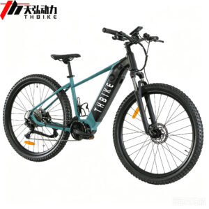 29 inch MTB electric mountain bike with torque MID motor high quality E bike factory OEM ODM