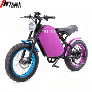 20 inch fat tires colorful 750W 1000W high power scooter electric motorcycle full suspension E bike custom