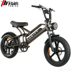 Fat tires 20" 750W power fashion scooter citycoco small motorcycle lithium battery