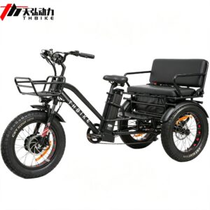 500W 750W 20 inch tricycle electric trike 3 wheels tricycle E trike cargo bike long passenger seat etrike