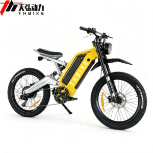 24 inch high power  750W 1000W high speed terrain  motorcycle  full suspension  off-road  motorcycle