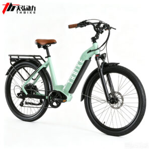 Citycycle electric bike Ebike 350W 500W with rear carrier ebike 26 inch 27.5inch