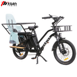 20 inch dual batteries design familycyle ebike long rang with baby seats ebike cycling