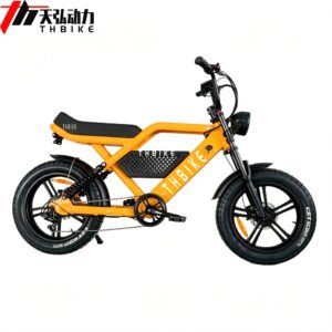 Fashion motorcycle  750W 1000W fat tires scooter lithium battery power  electric bike  full suspension E bike factory custom