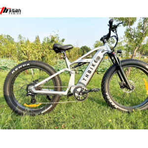 26 inch fat tires high power  750W 1000W high speed terrain  MTB full suspension  fashion design mountain ebike