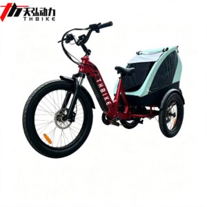 MID motor brushless 350W 500W rocking ebike awag bike electric with baby cradle comfortable family cycling bike